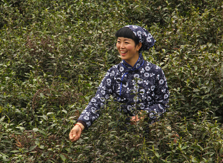 推荐10